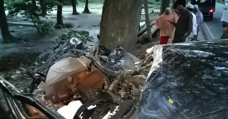 যশোরে গাছের সঙ্গে প্রাইভেটকারের ধাক্কা, নিহত ২